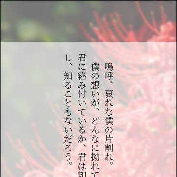 時戻し