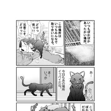 日向ぼっこ攻防戦