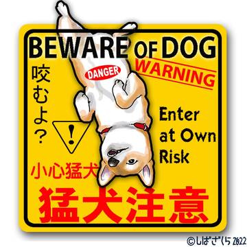 柴犬サクラ(17) 猛犬注意