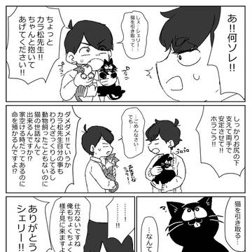 弁護士松小ネタ