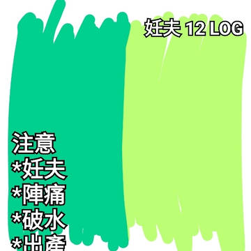 妊夫 12 LOG