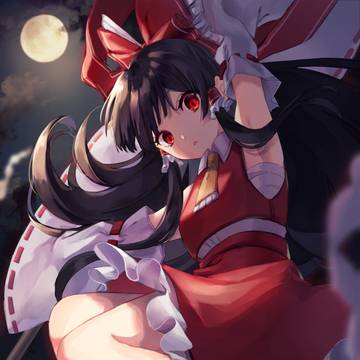 博麗の巫女に見つかった