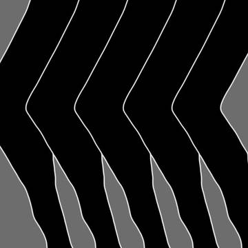 LEGS