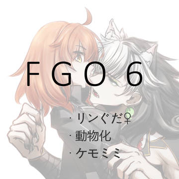FGO 6