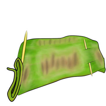 Nasi Bakar