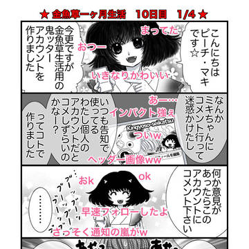 金魚草一カ月生活10日目
