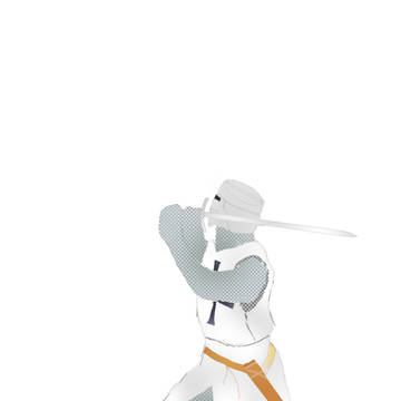 Teutonic Knight