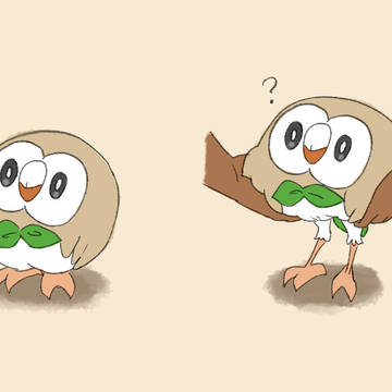 Owl legs