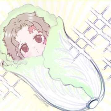 白菜に包まれた