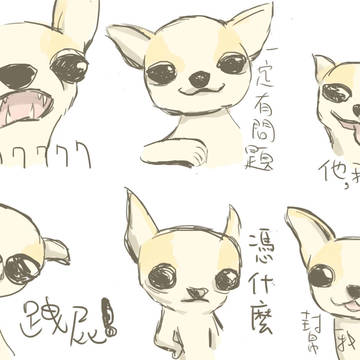チワワと他の犬/吉娃娃和一些其他的狗