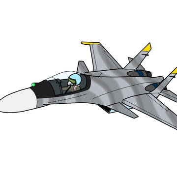 su 30