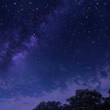 あなたがいた星空の下