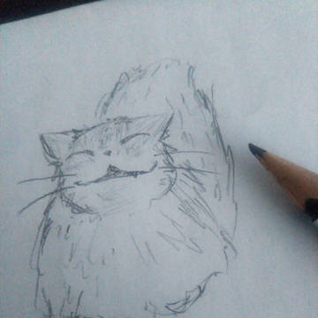 ニャンニャンニャン