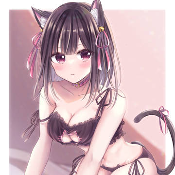 猫ランジェリーちゃん🐈