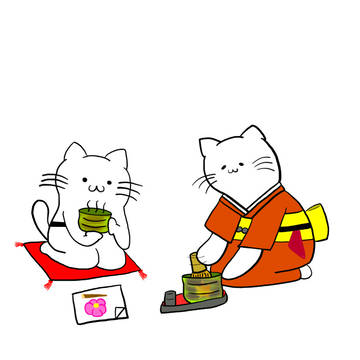 茶道猫