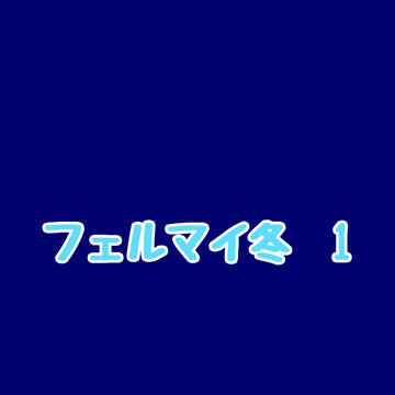フェルマイ冬1