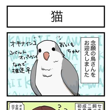 おいもちゃん日記①