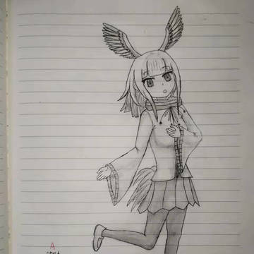 朱鹮