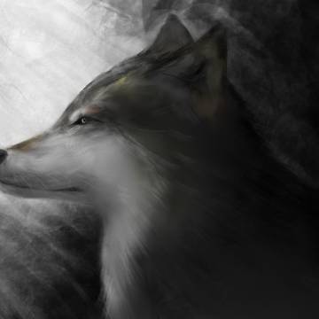 狼