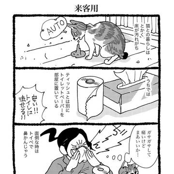 物陰に猫遊び④
