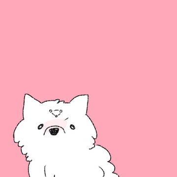 玉犬かわいすぎる