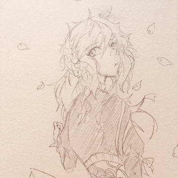 Sketch