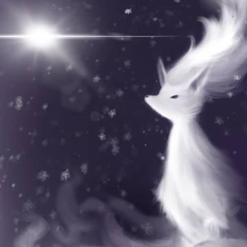 Stardust