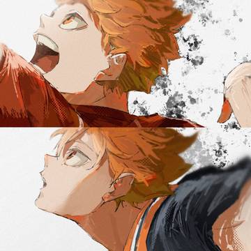 fly high