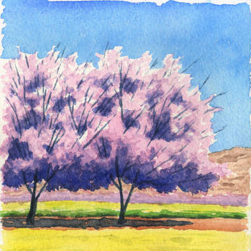 河津桜