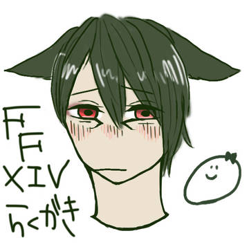 FFXIV ﾗｸｶﾞｷ 暁月プレイ済み推奨（大したバレではない）