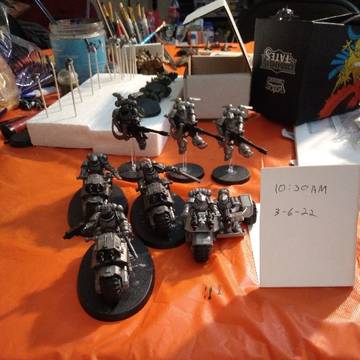 carcharodons for sale