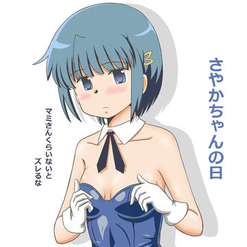 さやかの日 さやかちゃんの日