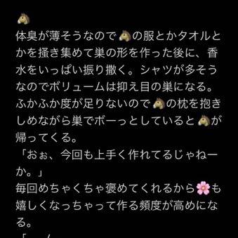 ヒートの前に巣作りをする🌸とそれを見た🎤