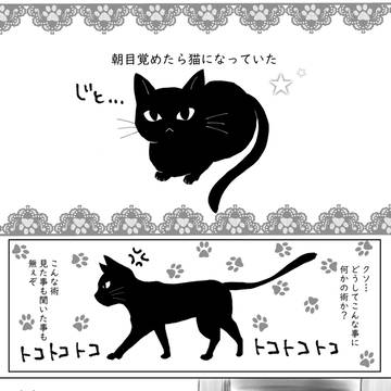 猫になった薛洋を暁星塵が甘やかすだけの漫画