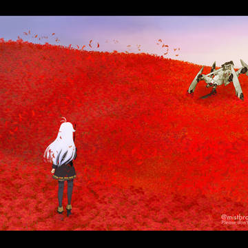 Lycoris
