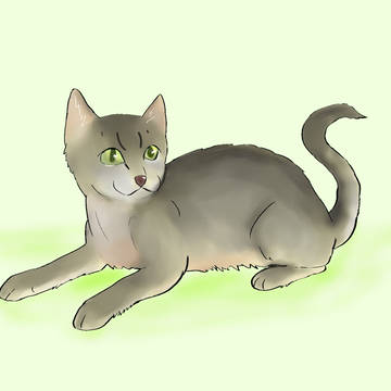 動物イラスト（猫／アビシニアン）