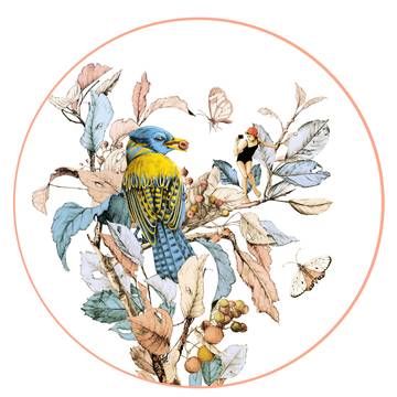 夏休みの自由研究 I