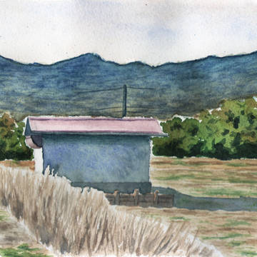 冬の田園風景