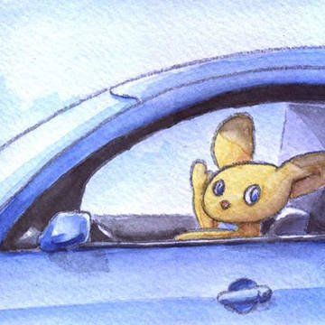 Skyler takes a drive