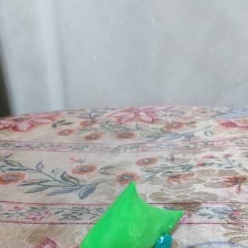 ガヴァドンカー ライトグリーン