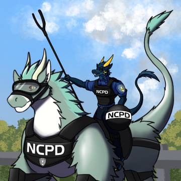 骑费费巡逻