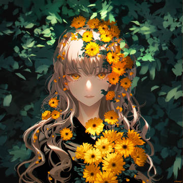 Calendula