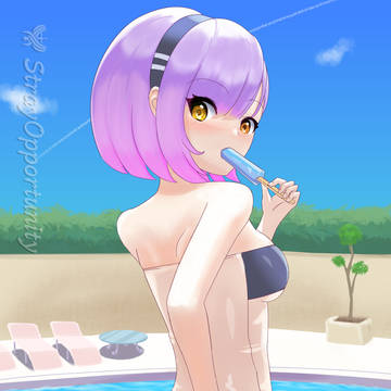 Gris Swimsuit