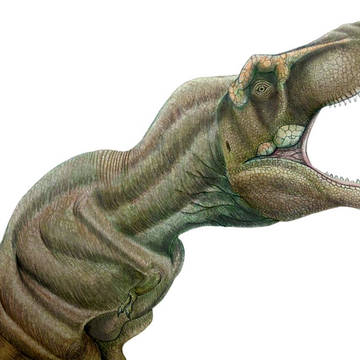 ティラノサウルス
