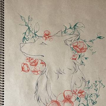 最近の落書き