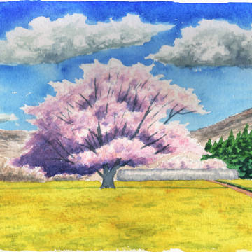 春の風景