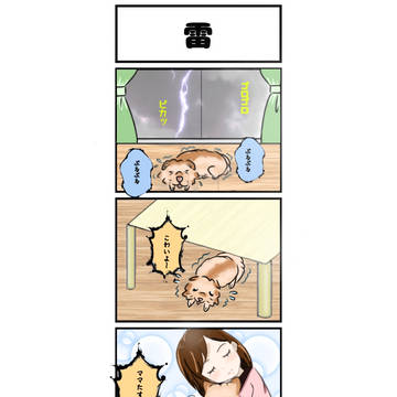 もしも我が家の犬シフォンが話せたら④