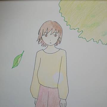 木漏れ日
