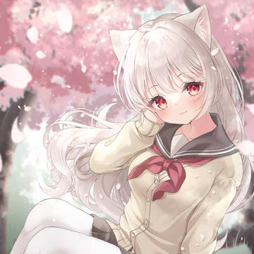 『春の白猫🌸』
