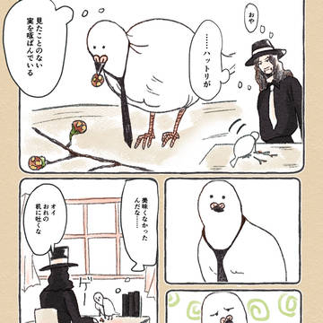 ワンピース　一般２